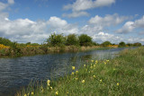 South of Rathangan