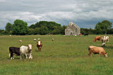 Old Church, Rahan