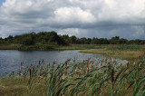 Turraun Nature Reserve