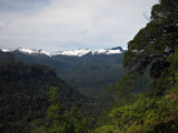 Puyehue National Park, from El Pionero viewpoint