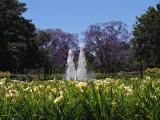 Parque 3 Febrero, Palermo