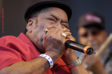 JAMES COTTON