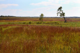 Nachusa Grasslands