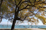 Fall at the Lake