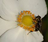 D25_0885.jpg