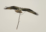 D25_5057.jpg