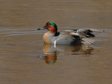 D25_6126.jpg