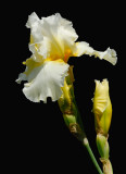 D25_8146 R.jpg