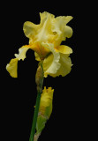 D25_8248 R.jpg