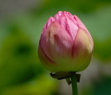D26_0889.jpg