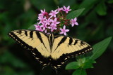 D26_4803.jpg