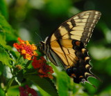 D26_5854.jpg
