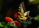 D26_5865.jpg
