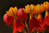 D26_6848.jpg