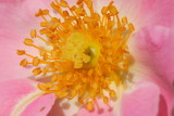 D26_6865.jpg