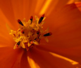 D26_6894.jpg