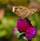 D28_3064.jpg