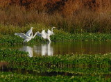 D28_4058.jpg