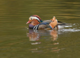 D28_6091.jpg