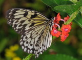 D33_4516.jpg