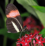 D33_4547.jpg