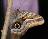 D33_4626.jpg