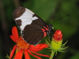 D33_4635.jpg