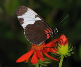D33_4644.jpg