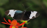 D33_4715.jpg
