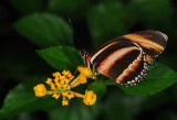 D33_4751.jpg