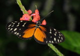 D33_4757.jpg