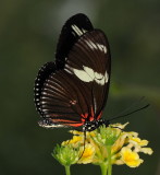 D33_4737.jpg
