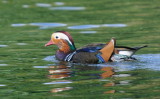 D33_5907.jpg