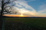 DSC_6663 copy.jpg