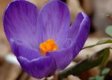 D20_0472 copy.jpg