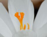 D20_0475 copy.jpg