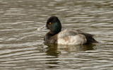D20_0520 copy.jpg