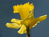 D20_0580 copy.jpg