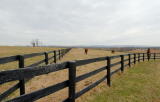 D20_1107 copy.jpg