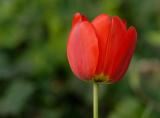 D20_2378 copy.jpg
