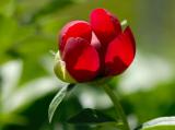 D20_3656 copy.jpg