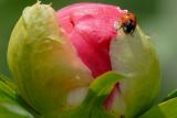 D20_4669 copy.jpg