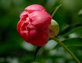 D20_5073 copy.jpg