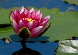 D20_5086 copy.jpg