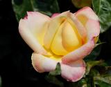 D20_6049 copy.jpg