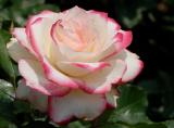 D20_6053 copy.jpg