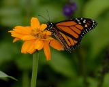 D20_6122 copy.jpg