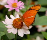 D20_6155 copy.jpg