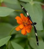 D20_6159 copy.jpg