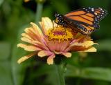 D20_6170 copy.jpg